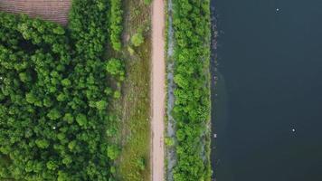 antenne visie van een landelijk weg snijdend door gecultiveerd land- langs een reservoir in een tropisch land. natuurlijk landschap achtergrond. video