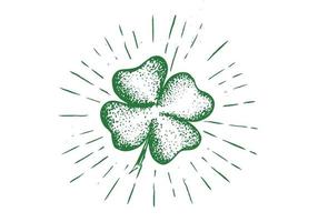 Patrick day. Clover, hand drawn illustration. vector