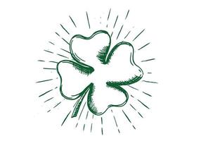 Patrick day. Clover, hand drawn illustration. vector