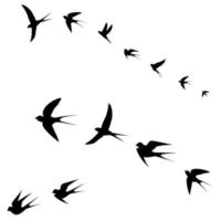 birds are flying south vector