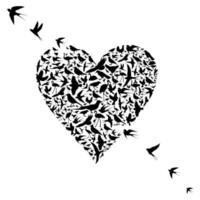 birds from the heart vector