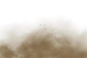 fondo de una nube de polvo marrón y arena con partículas de arena seca voladora y suciedad. vector
