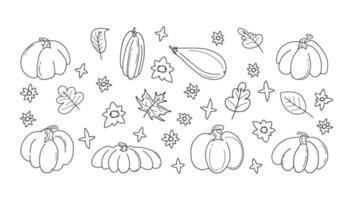 calabazas y hojas doodle conjunto ilustración vectorial vector