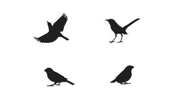 volando diferentes tipos de silueta de aves con alas vector gratis