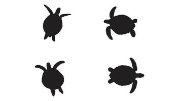 Collection of animal Turtle Silhouette in different poses Free Vector