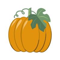 Large orange ripe pumpkin with green leaves, vector illustration in flat style on a white background