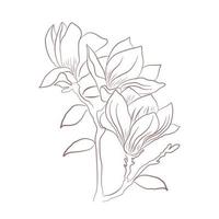 Hand drawn flower sketch line art vector illustration