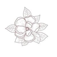 Hand drawn flower sketch line art vector illustration