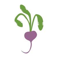 Vegetarianism vector image of a fresh beet with a leaf, flat design