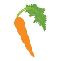 Carrot. Vector carrot in trendy flat style. Vector concept. Isolated object.