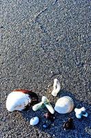 Set of seashells on white sand background photo