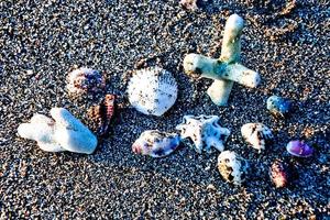 Set of seashells on white sand background photo