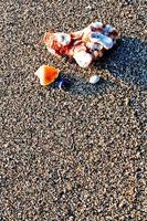 Set of seashells on white sand background photo