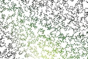 Light Green vector pattern with spheres.