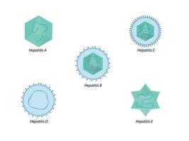 Hepatitis viruses of liver. Structure of hepatitis A, B, C, D, E viruses vector