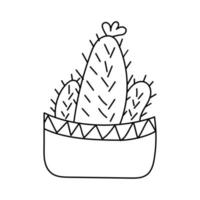 Three cacti in longitudinal pot and doodle-style flower. Vector isolated image for use in web design or as print