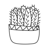 Multiple cactus in longitudinal doodle-style pot. Vector isolated image for use in web design or as print