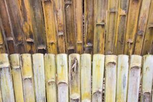 The floors, walls, fences of rural houses are made of bamboo. photo