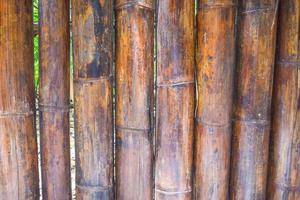 The floors, walls, fences of rural houses are made of bamboo. photo