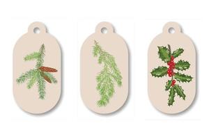 A set of tags with Christmas holly branches with leaves and berries, spruce with cones and juniper. Vector illustration.