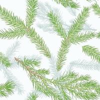 Vector New Year seamless pattern with fir branches and juniper branches.