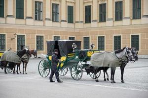 viena, austria, 2014. caballo y carruaje en el palacio de schonbrunn en viena foto