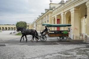 Vienna, Austria, 2014. Horse and carriage at the Schonbrunn Palace in Vienna photo