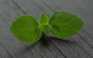 Mint leaves on wooden background photo