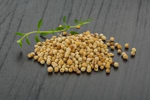 Coriander seeds on wooden background photo