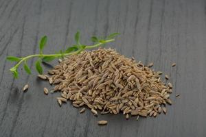 Zia seeds on wooden background photo