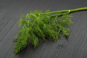 Dill on wooden background photo