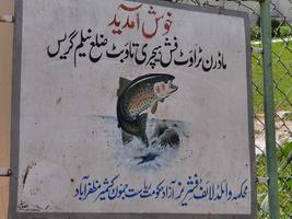 Kashmir, Pakistan, Aug 2022 - Trout Fish farm in Neelum valley, Kashmir. photo