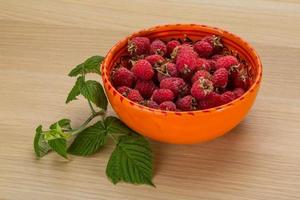 Raspberry in a bowl on wooden background