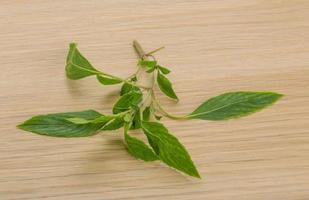 Bergamot leaves on wooden background photo