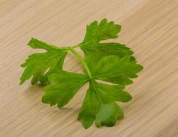 Celery leaves on wooden background photo