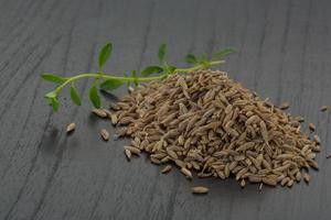 Zia seeds on wooden background photo