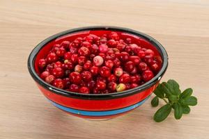 Cowberry in a bowl on wooden background photo