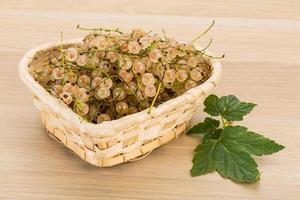 White currant in a basket on wooden background photo