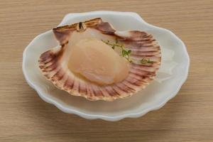 Raw scallops on the plate and wooden background photo