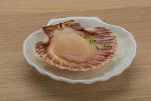 Raw scallops on the plate and wooden background photo