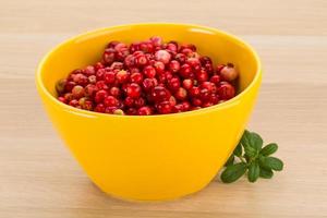 Cowberry in a bowl on wooden background photo