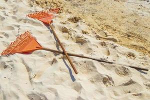 Very disgusting red seaweed sargazo beach Playa del Carmen Mexico. photo