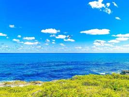 Fregat birds flock fly blue sky background Contoy island Mexico. photo