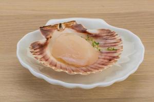 Raw scallops on the plate and wooden background photo