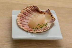 Raw scallops on the plate and wooden background photo