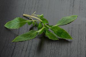 Bergamot leaves on wooden background photo