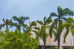 Hurricane 2021 Playa del Carmen Mexico extreme wind storm thunderstorms. photo