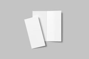 DL Bifold Brochure Blank Mockup photo