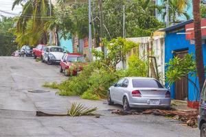 Playa del Carmen Quintana Roo Mexico 2021 Hurricane 2021 Playa del Carmen Mexico destruction devastation broken trees. photo