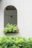 Colorful flowers adorn potted ornamental plant photo